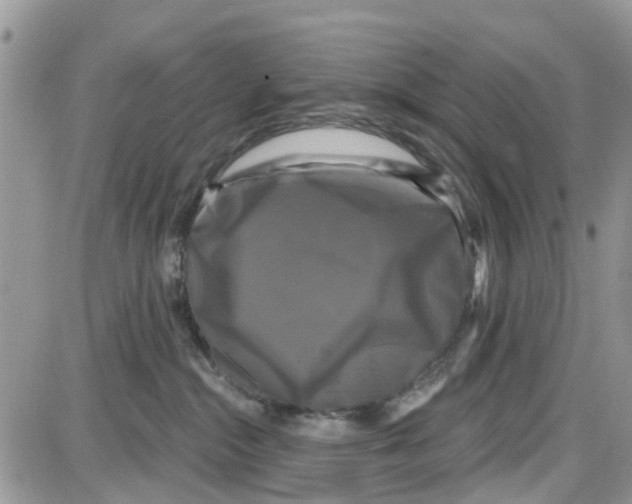 X0000087630284200705311336