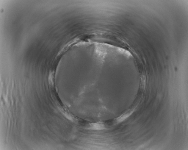 X0000087630286200705311336