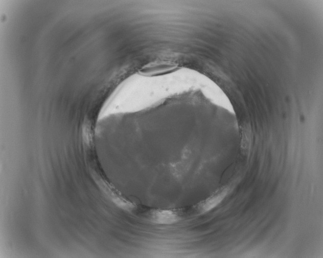 X0000087630287200705311336