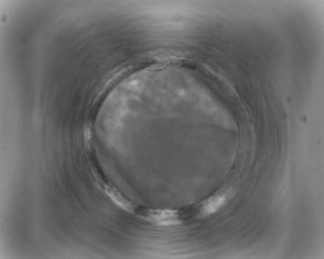 X0000087630288200705311336