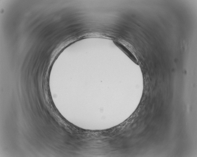 X0000087630289200705311335