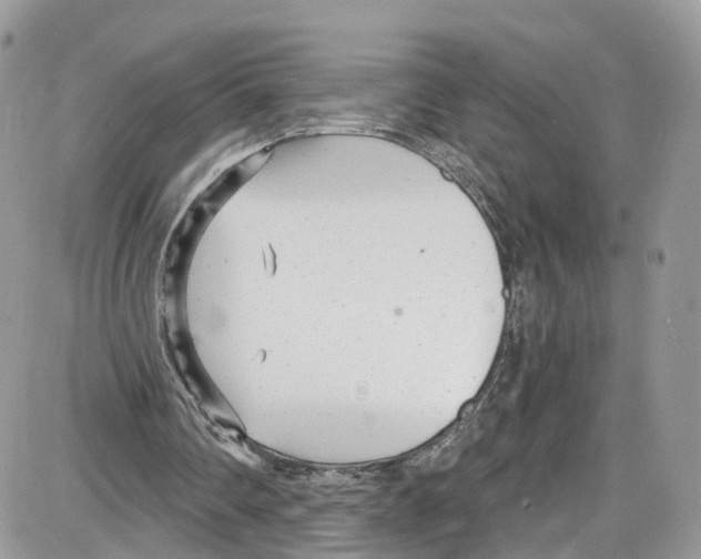 X0000087630290200705311335