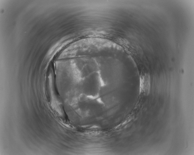 X0000087630291200705311335