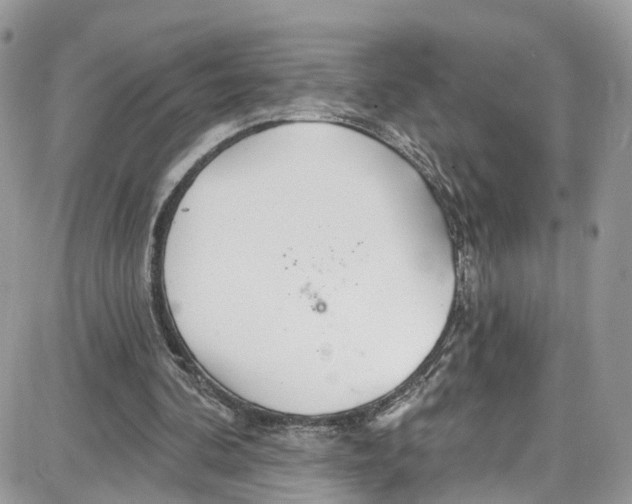 X0000087630292200705311335