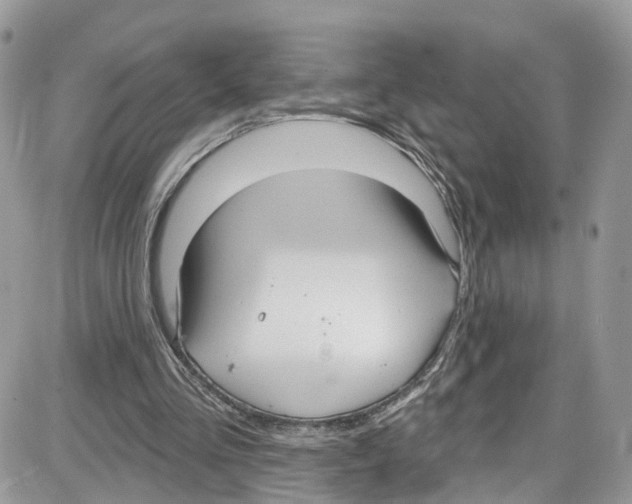 X0000087630293200705311335