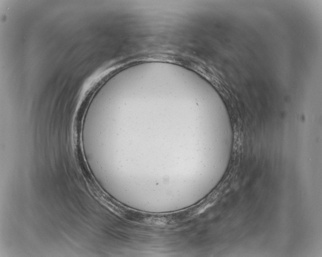 X0000087630294200705311335