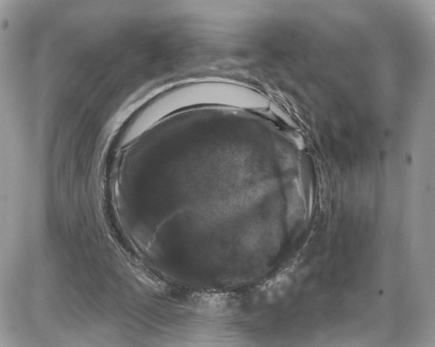 X0000087630295200705311335