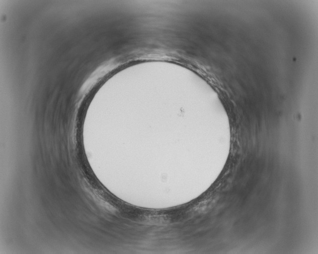 X0000087630296200705311335