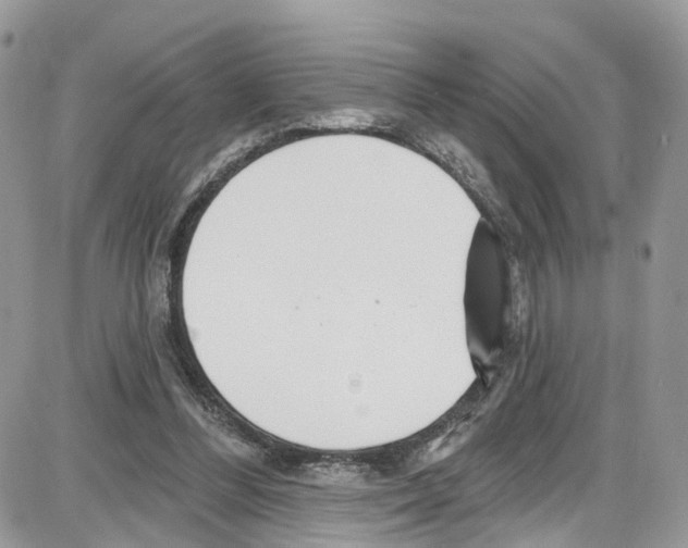 X0000087630300200705311335