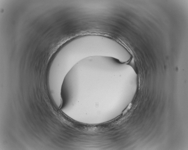 X0000087630301200705311335