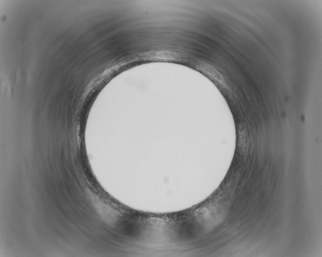 X0000087630302200705311335