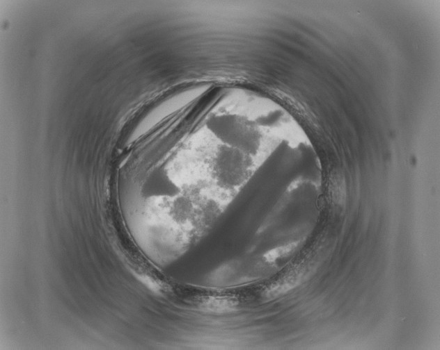 X0000087630303200705311335