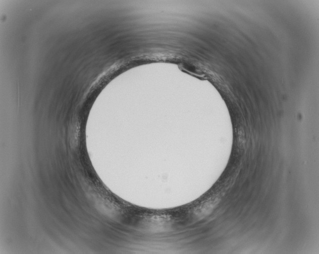 X0000087630304200705311335