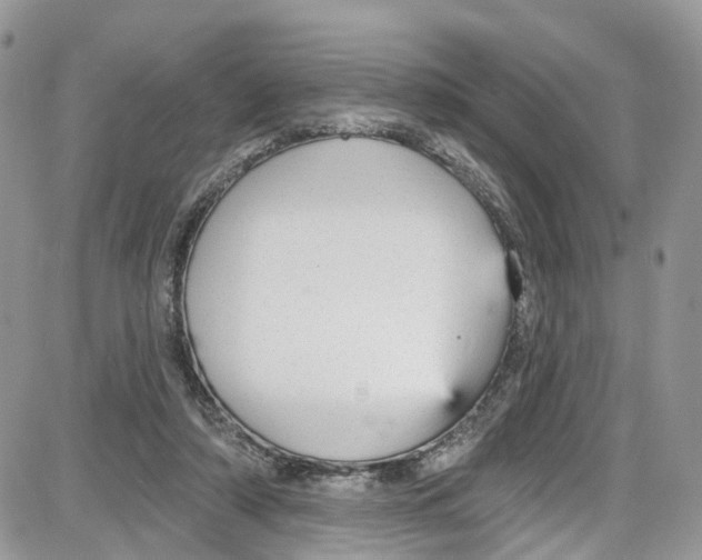 X0000087630306200705311335