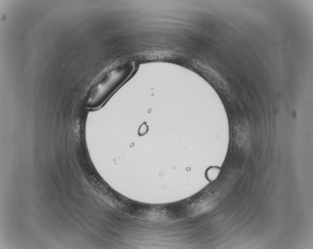 X0000087630308200705311335