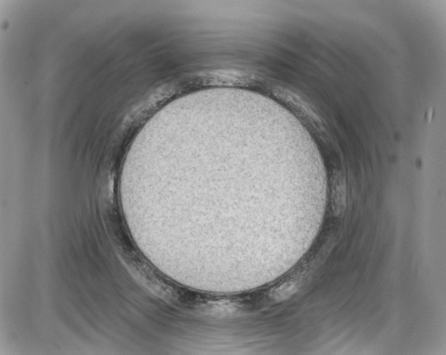 X0000087630310200705311335