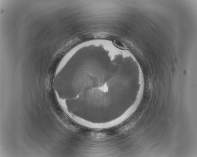 X0000087630311200705311335