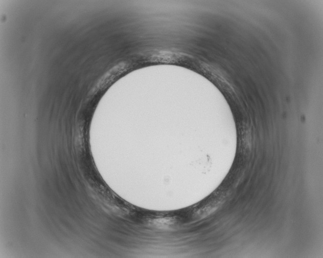 X0000087630312200705311335