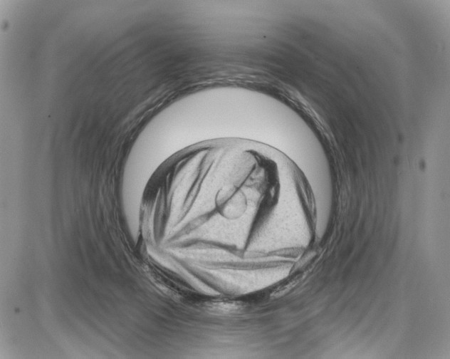 X0000087630313200705311335