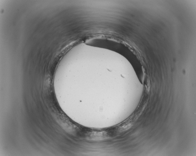 X0000087630314200705311335