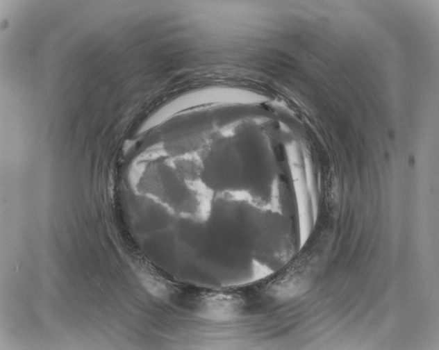 X0000087630315200705311335