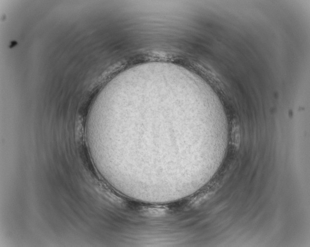 X0000087630318200705311335