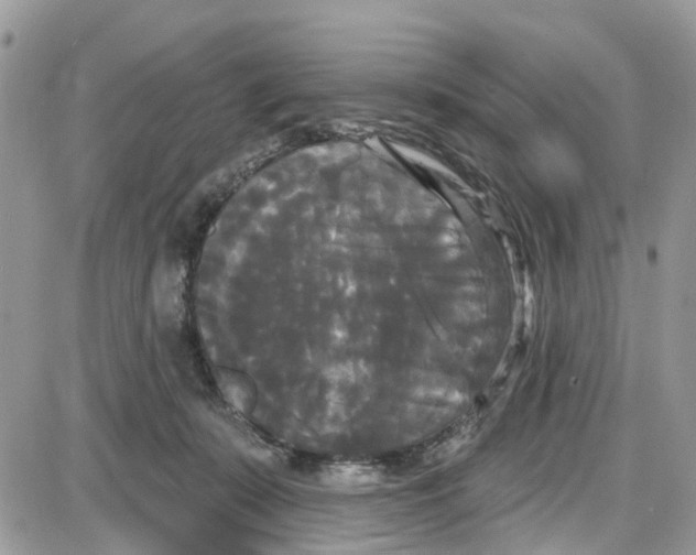 X0000087630319200705311335