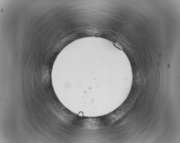 X0000087630320200705311335