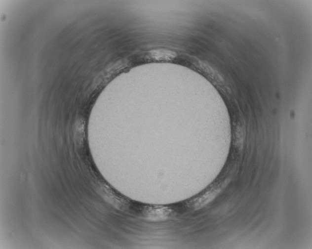 X0000087630321200705311335