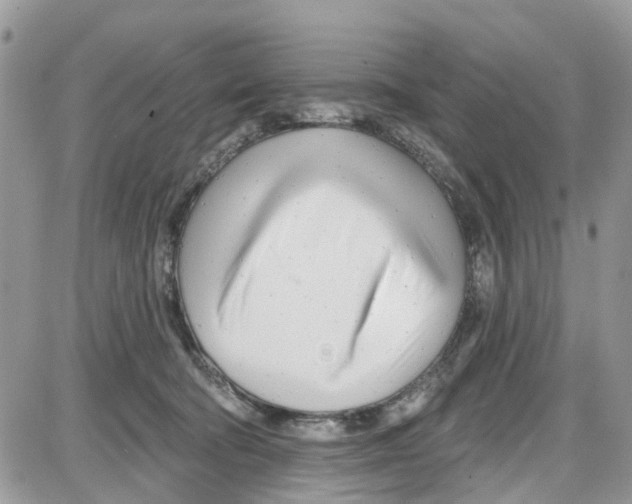 X0000087630322200705311335