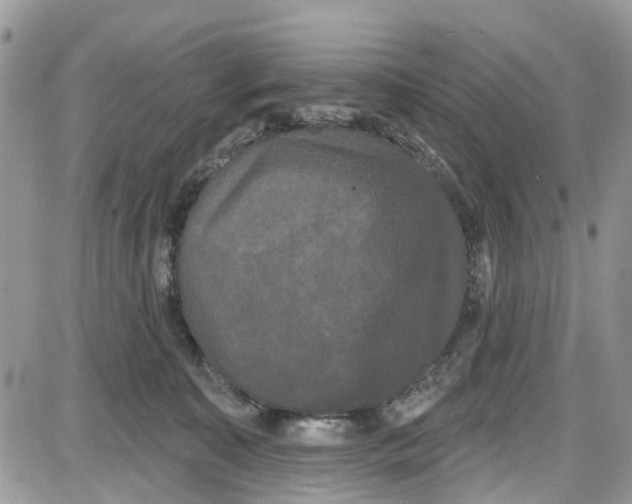 X0000087630323200705311335