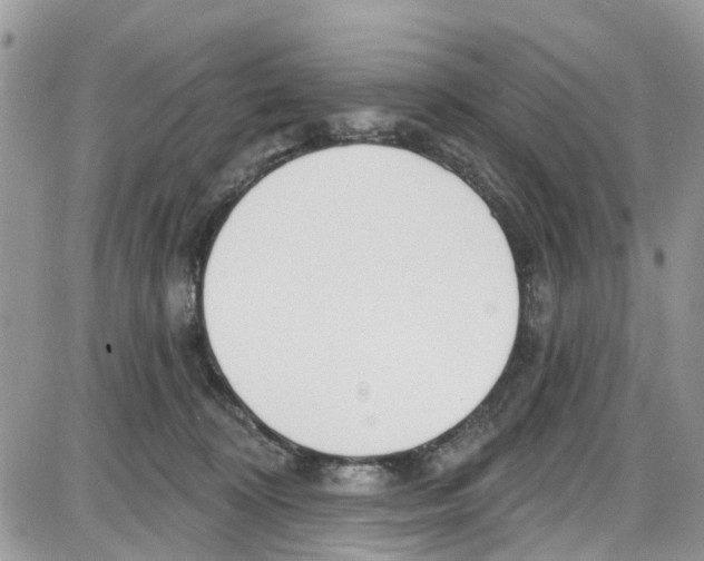 X0000087630324200705311335