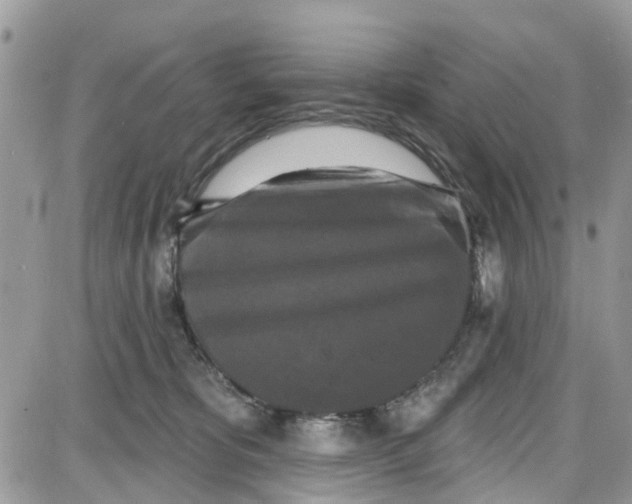 X0000087630325200705311335