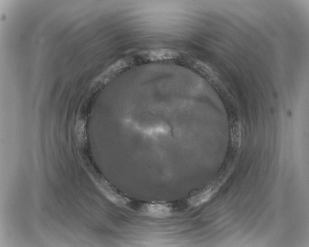 X0000087630327200705311335