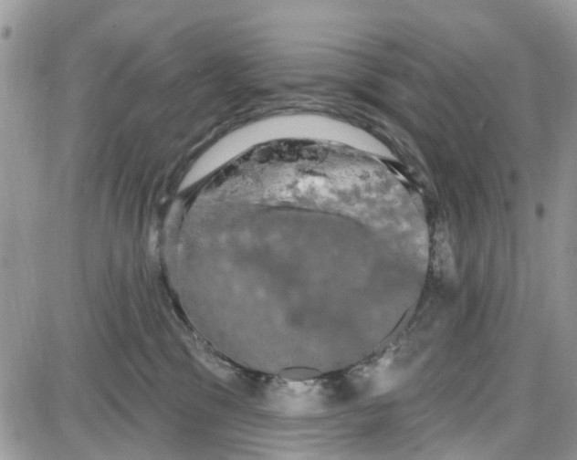 X0000087630329200705311335