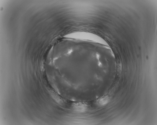 X0000087630331200705311335