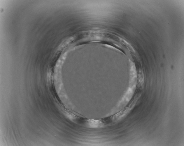 X0000087630333200705311335