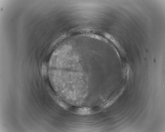 X0000087630335200705311335