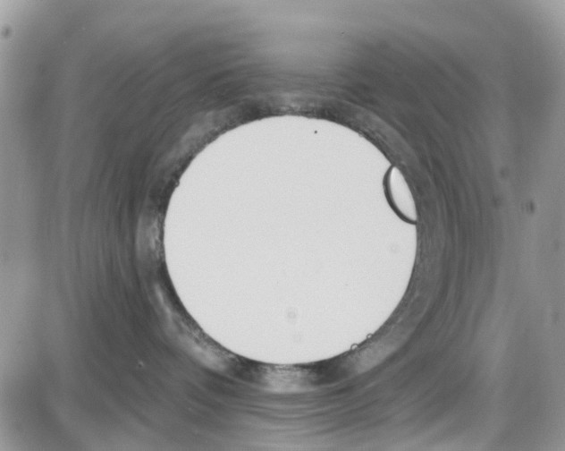 X0000087630336200705311335