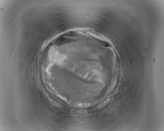 X0000087630337200705311334