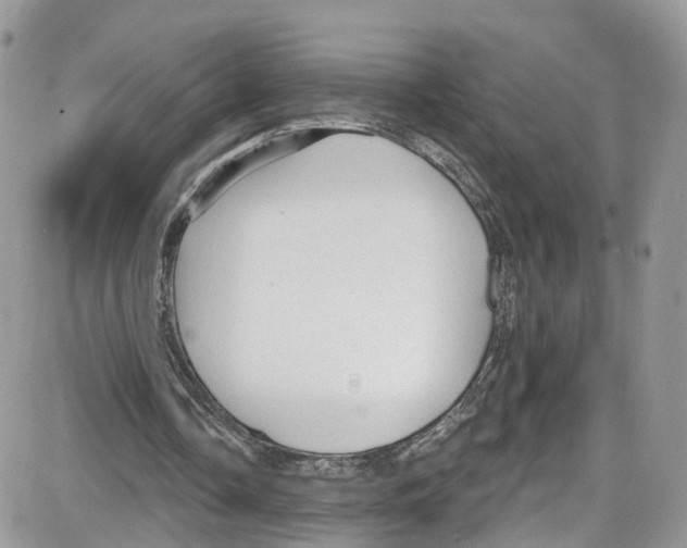 X0000087630338200705311334