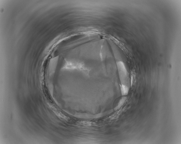 X0000087630339200705311334