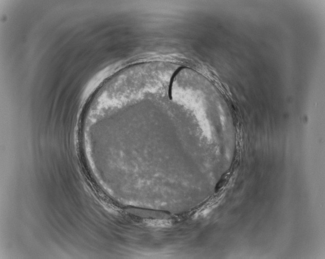 X0000087630340200705311334