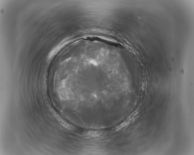 X0000087630341200705311334