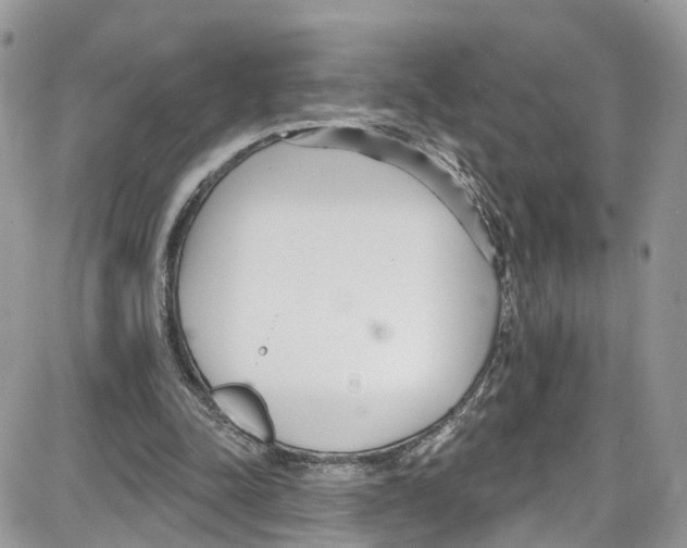 X0000087630342200705311334