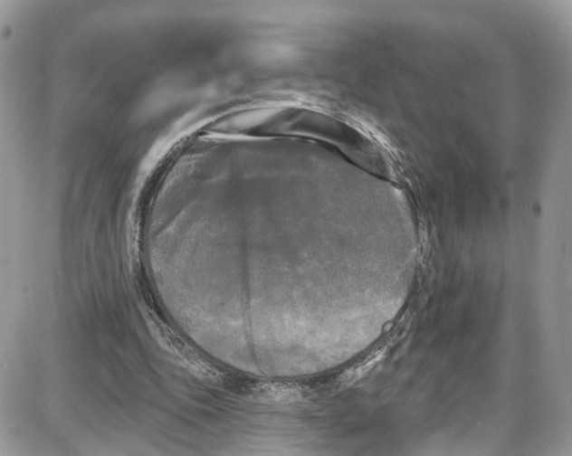 X0000087630343200705311334