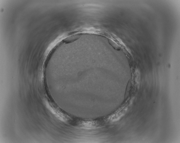 X0000087630344200705311334