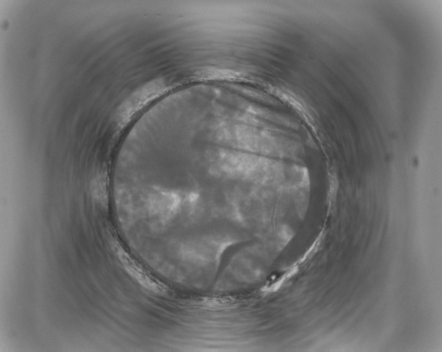 X0000087630345200705311334