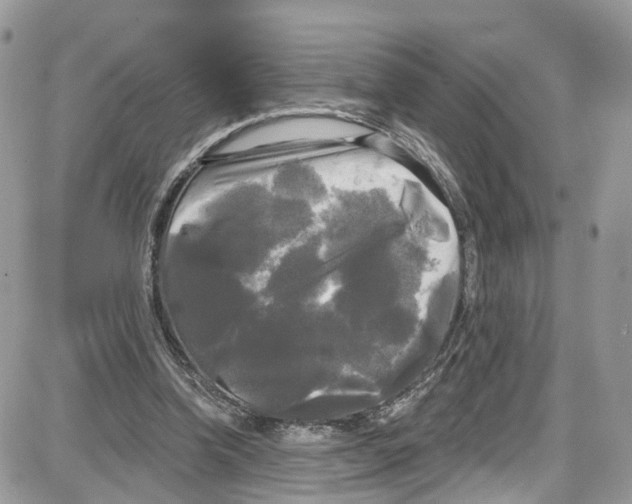 X0000087630346200705311334