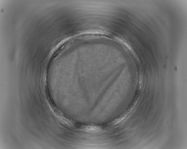 X0000087630348200705311334